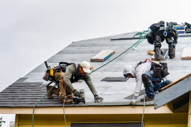 Professional Gutter Installation technician working in Linden, TX